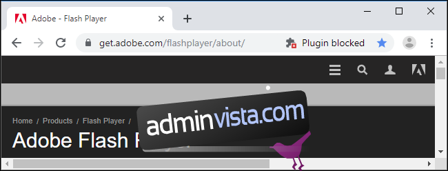 كيفية تمكين Adobe Flash في Google Chrome 76+ 1