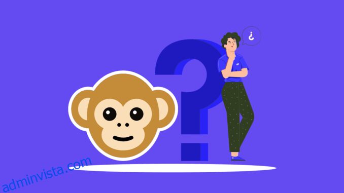 ماذا حدث لتطبيق Monkey؟ - adminvista.com 1