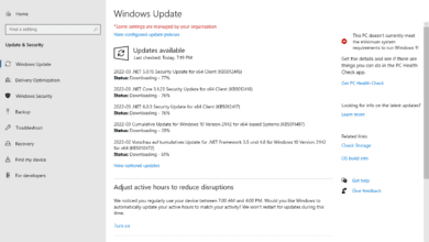 Microsoft Windows Security Updates March 2022 overview