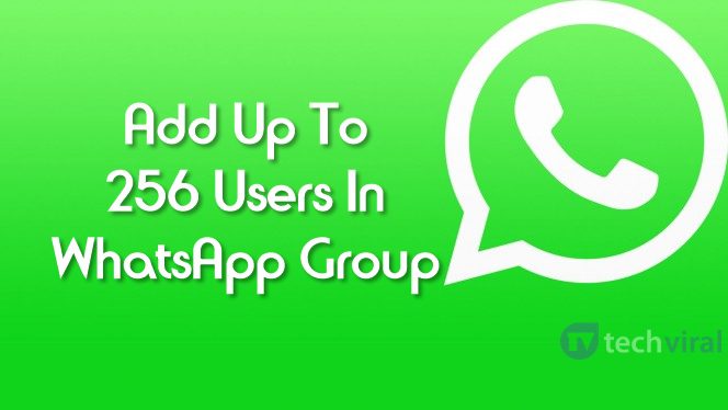 Now You Can Add Up To 256 Users in WhatsApp Group