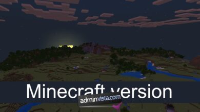 كيفية البحث عن إصدار Minecraft - adminvista.com