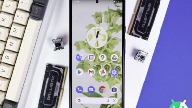 Google Pixel 6 android 12