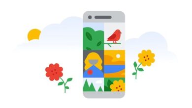 Google Foto pulizie primavera
