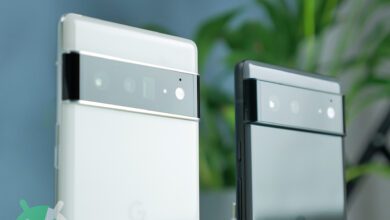 Google Pixel 6 e Pixel 6 Pro