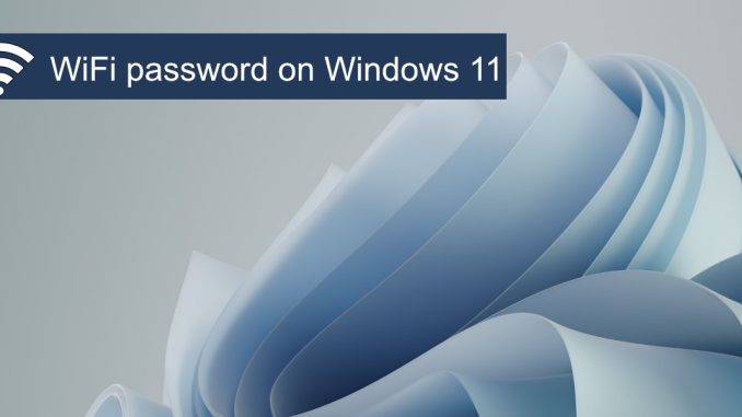 كيفية العثور على كلمة مرور WiFi بتنسيق Windows 11 1
